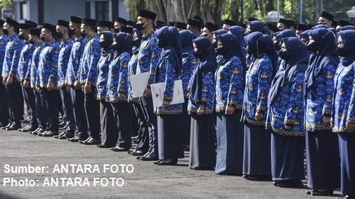 tunjangan pns